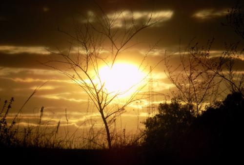 �� ������ �����