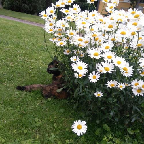 ������������ ���