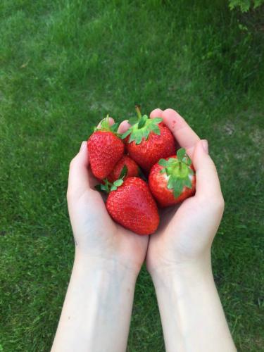 ������ ����