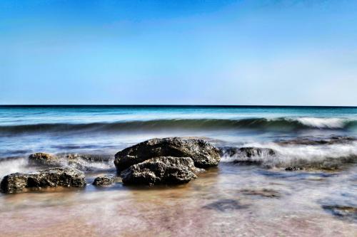 ����� ��������