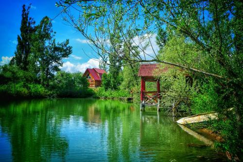 ������ �����