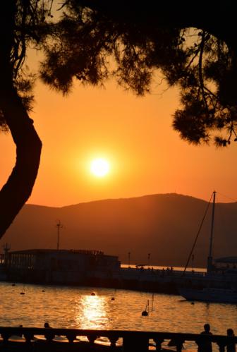 �������� �����