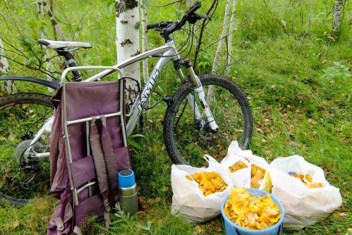 4 ����� �� 2 ����