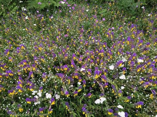 ��������� �����