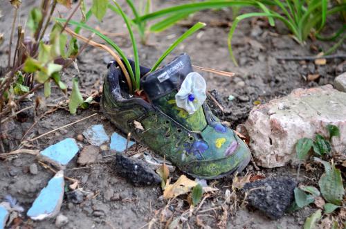 ������ ����� 