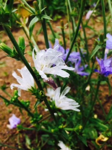 �������� �� ������