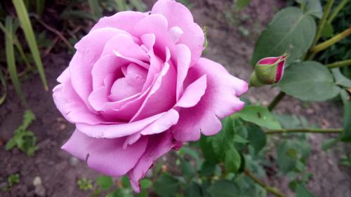 �������� ����