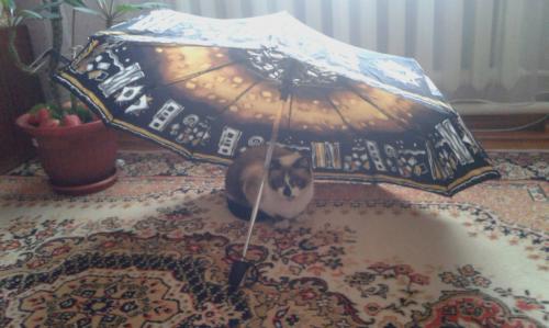 �� ��� �� ������ 