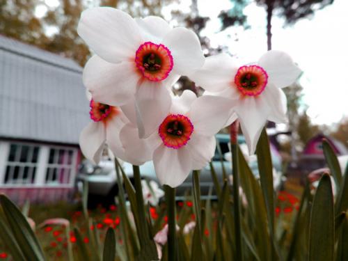 ��������� ������ 