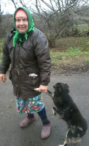 ������ �� �����