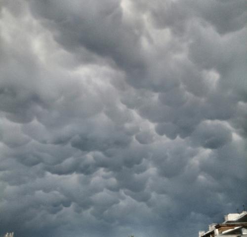 ����� ������