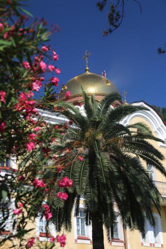 ������� � ��������