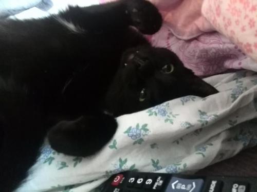  ��� ��������� ������� ������� ������