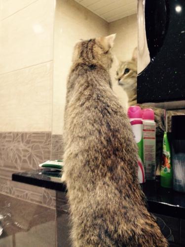 ���������������