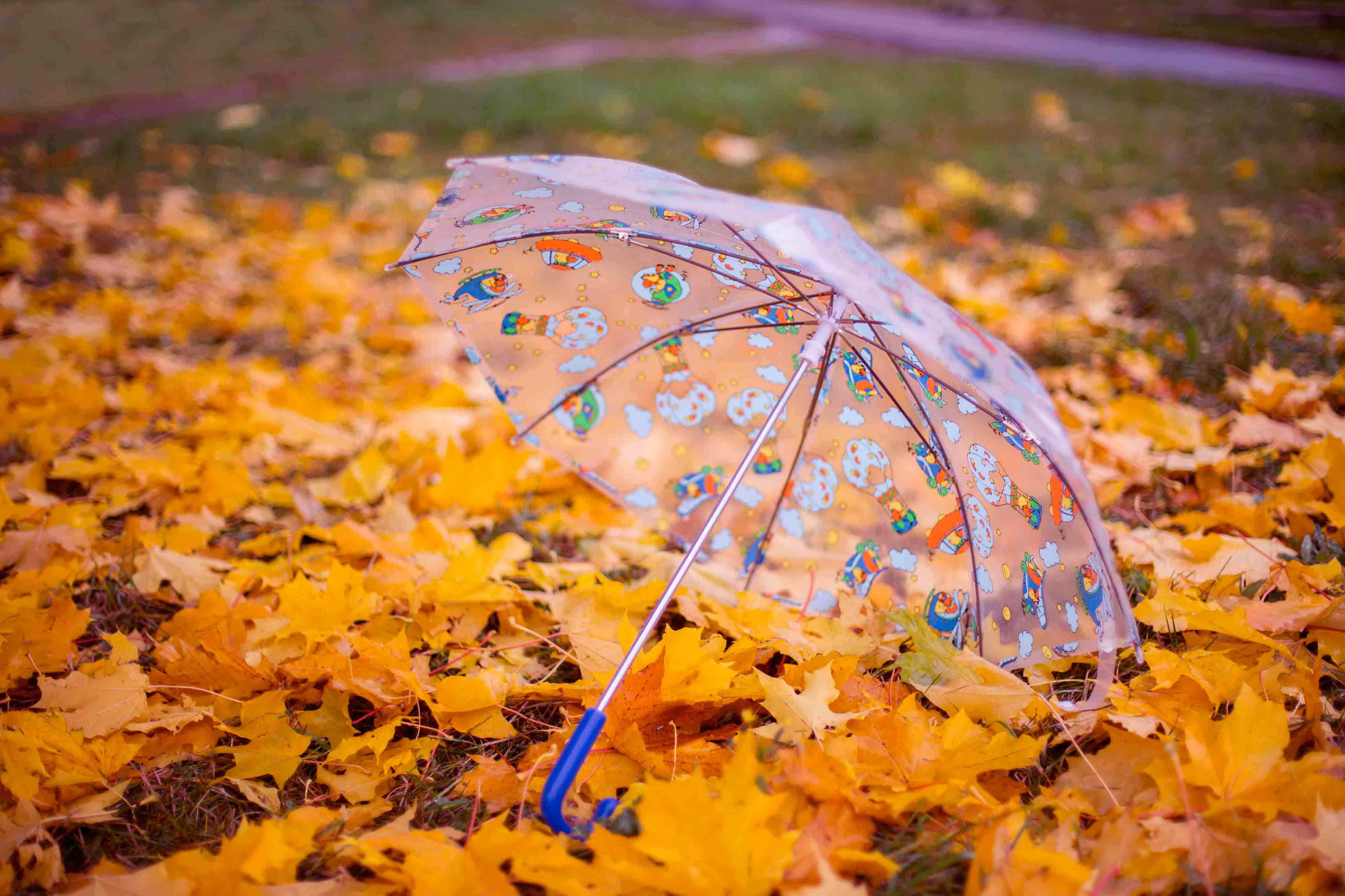 Осенний сентябрь песня. Осенний дождь. Осень зонтик. Осень листопад. Дождливая осень.