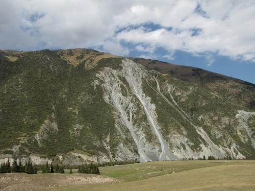 �������� ����