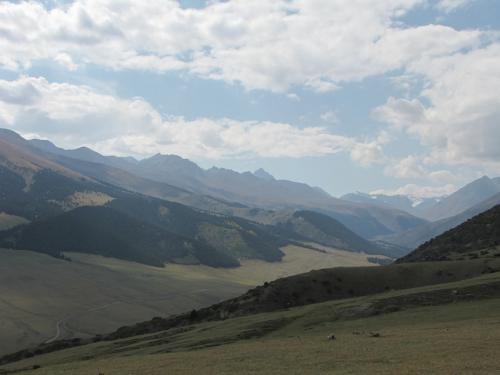 �����������