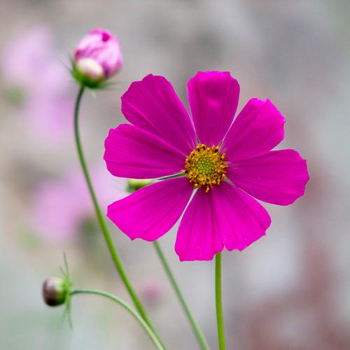 ��������� ������