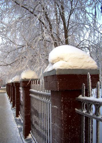 �������� ����