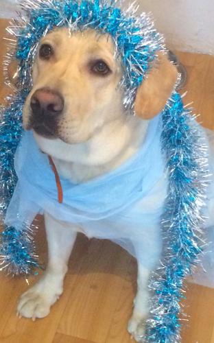 ����������