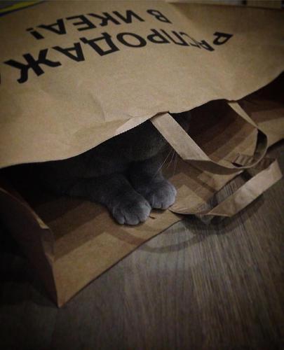 ������� �����������