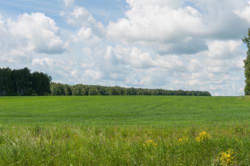 �4 �������