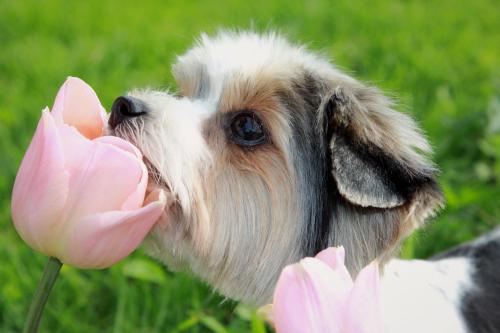 ����� ����