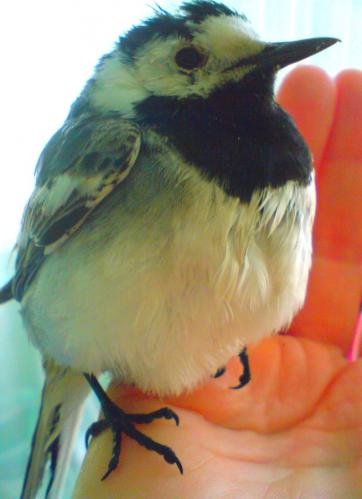 ������������