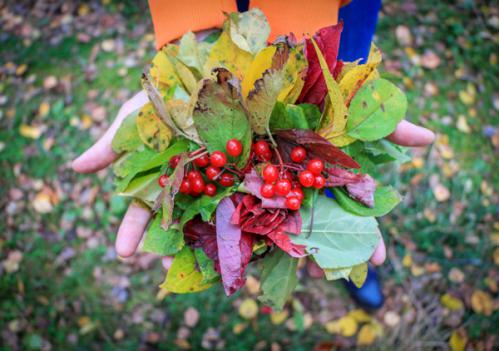 ������ �����