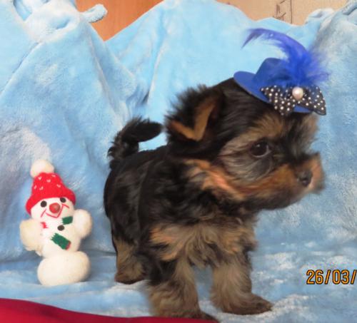 ��������� ������