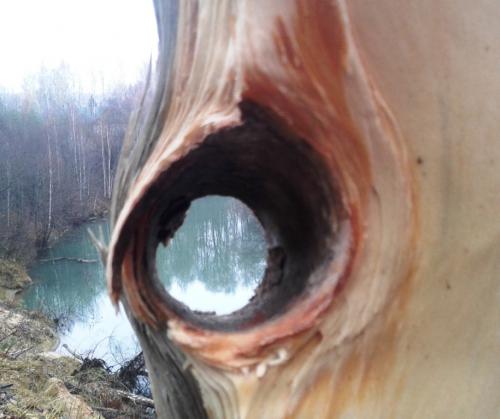 ��� ������ ����