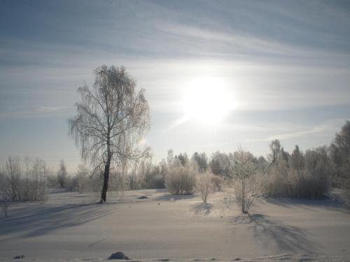 Родной край зимой. Природа родного края зимой. Зима на родном краем. Красота родного края зимой.