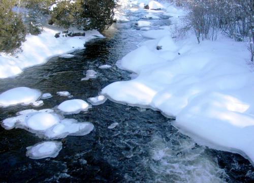 ���� ���