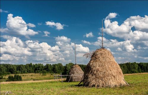 ���� ����