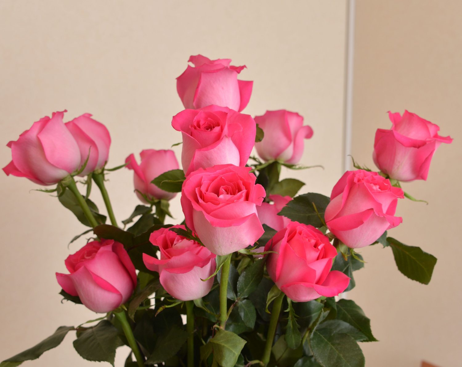 Букет Прекрасных Роз Фото