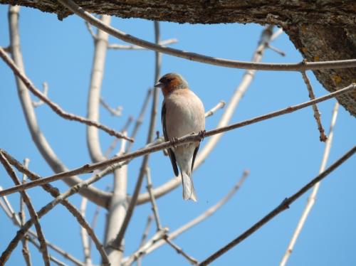 �������� �����