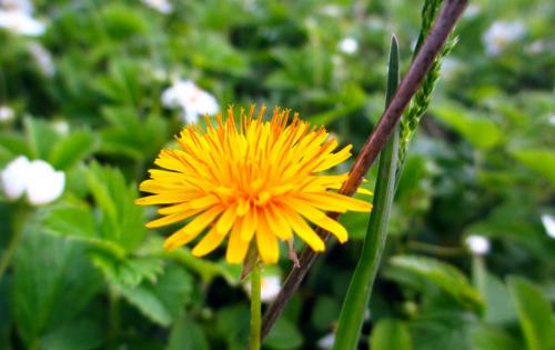 Ƹ���� ������