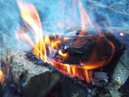 �������� ���������