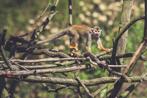 �������