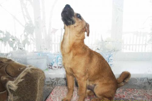 ��� ����� ���