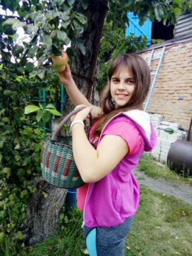 � ������