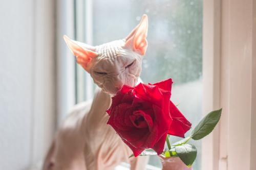 ����� � ����