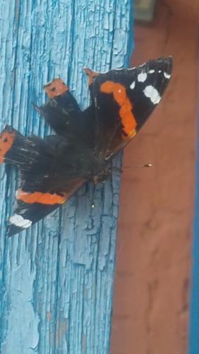 �������