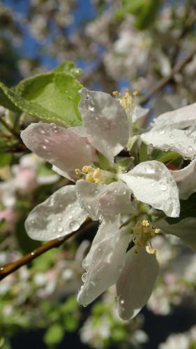 ����� � ������