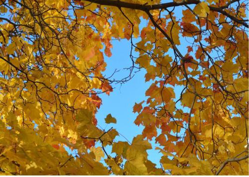 ������ �����