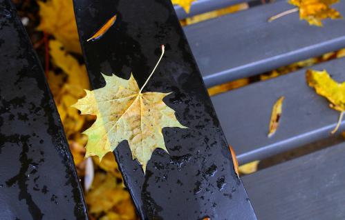 ��������� ������