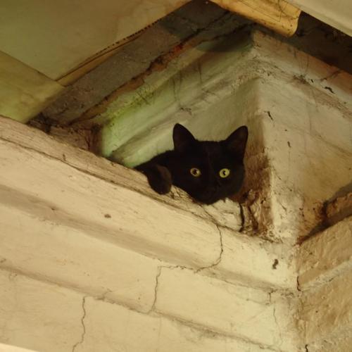 ��� �� ������ �����