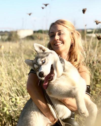 ��������� �������