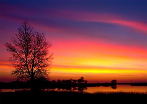 � ����� ���� ������...