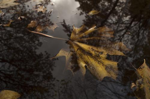 � ������������ ����